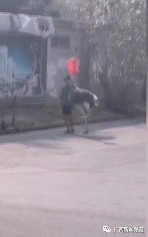 DƬ